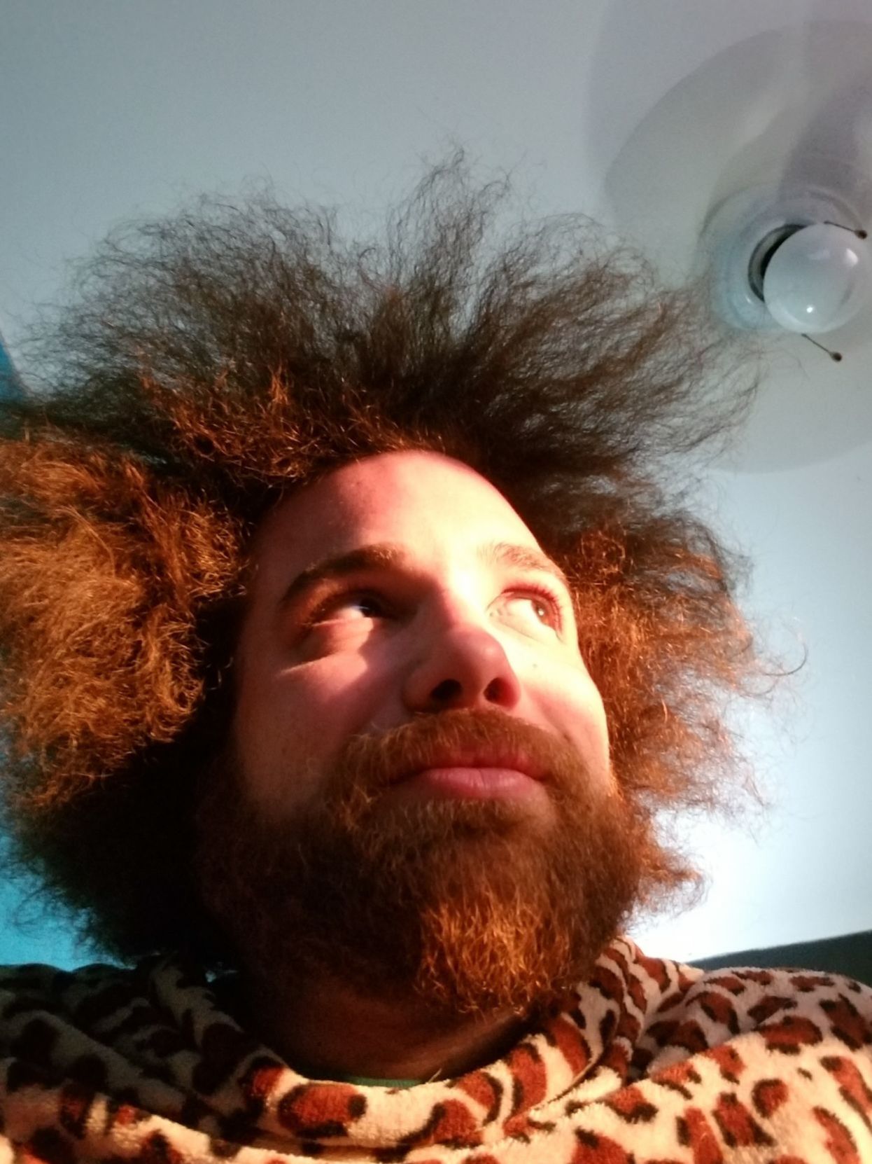 Kyle Palinca